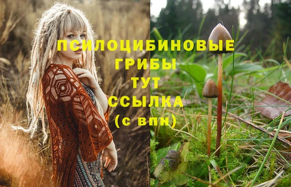 меф Киренск