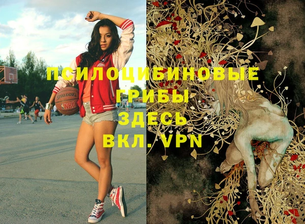 экстази Козельск