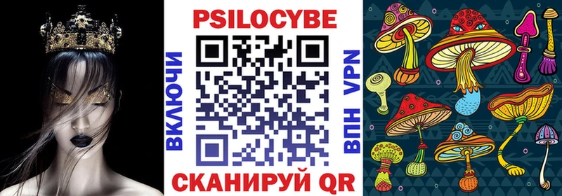 Купить закладки  Богучар  Псилоцибиновые грибы MAGIC MUSHROOMS 
